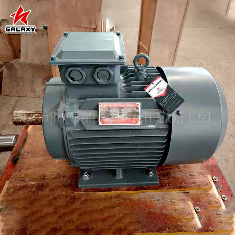 High Efficiency 220kW 1000RPM Three Phase Permanent Magnet Motor