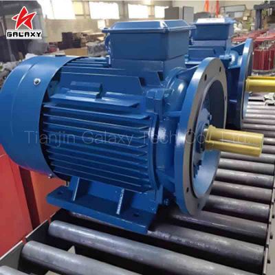 Commerical Use of 45kW 750rpm 380V Synchronous Permanent Magnet Motor
