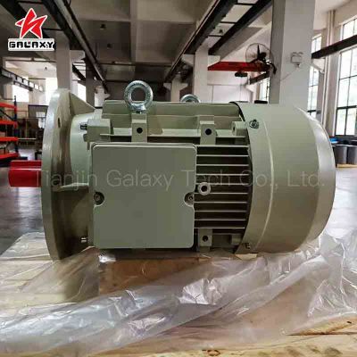 ac motor,brushless motor,electric motor,electrical motor,permanent magnet motor,synchronous motor