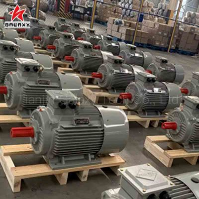 ac motor,brushless motor,electric motor,electrical motor,permanent magnet motor,synchronous motor